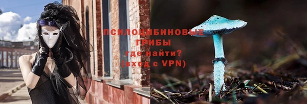 дмт Алексеевка