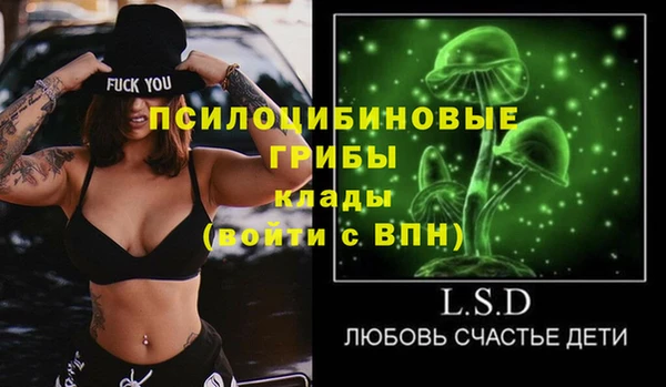 дмт Алексеевка