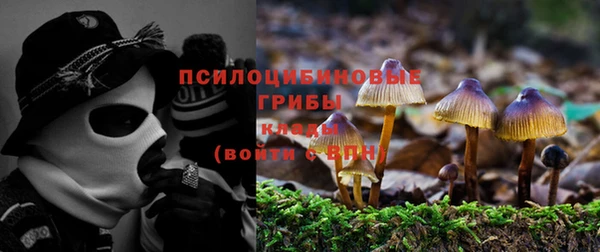 дмт Абаза