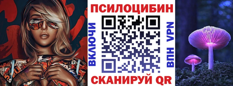 Галлюциногенные грибы Psilocybine cubensis  закладки  Балашиха 